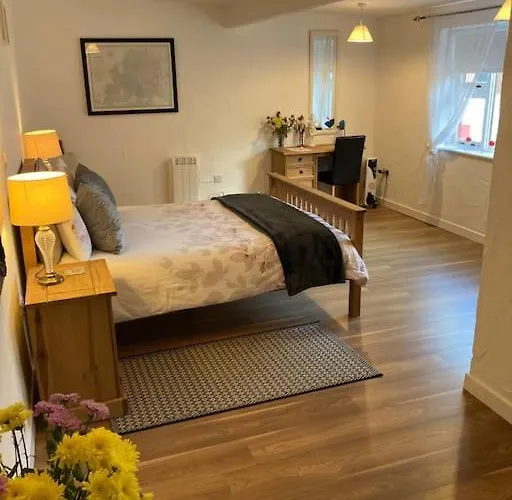 The Potters Tatil Evi Clifden